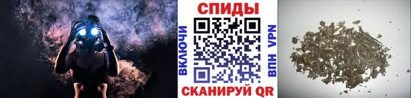 Купить где  Октябрьск  Бутират BDO 