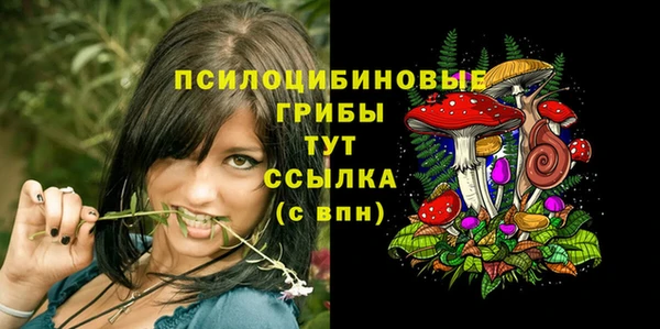 прущая мука Зеленодольск