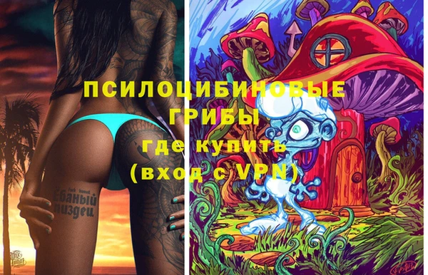 амф Зеленокумск