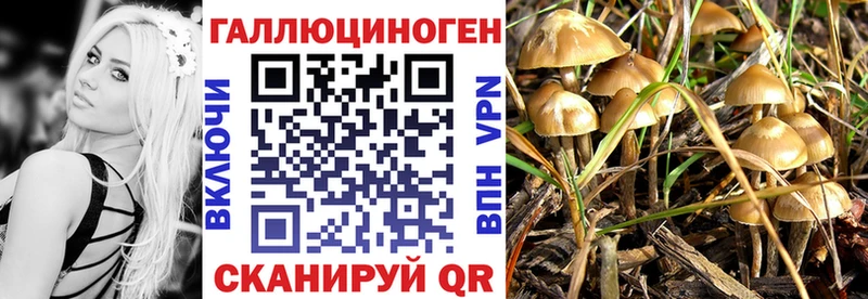 Псилоцибиновые грибы мицелий  Купить где  Октябрьск 